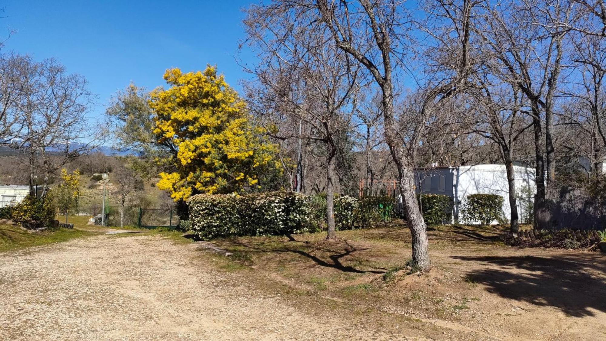 Camping De Cervera De Buitrago エクステリア 写真