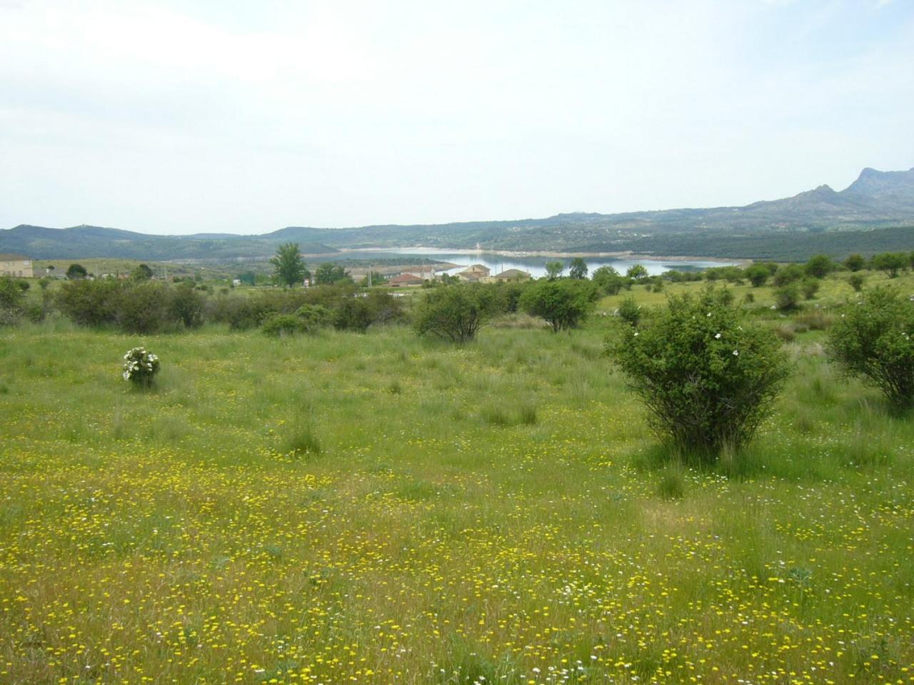Camping De Cervera De Buitrago エクステリア 写真